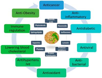 Enhancing health and therapeutic potential: innovations in the medicinal and pharmaceutical properties of soy bioactive compounds